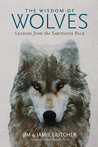The Wisdom of Wolves: Lessons From the Sawtooth Pack