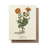 Calendula Plantable Card