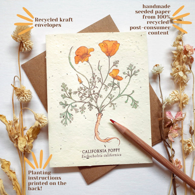 Dandelion Plantable Wildflower Seed Card